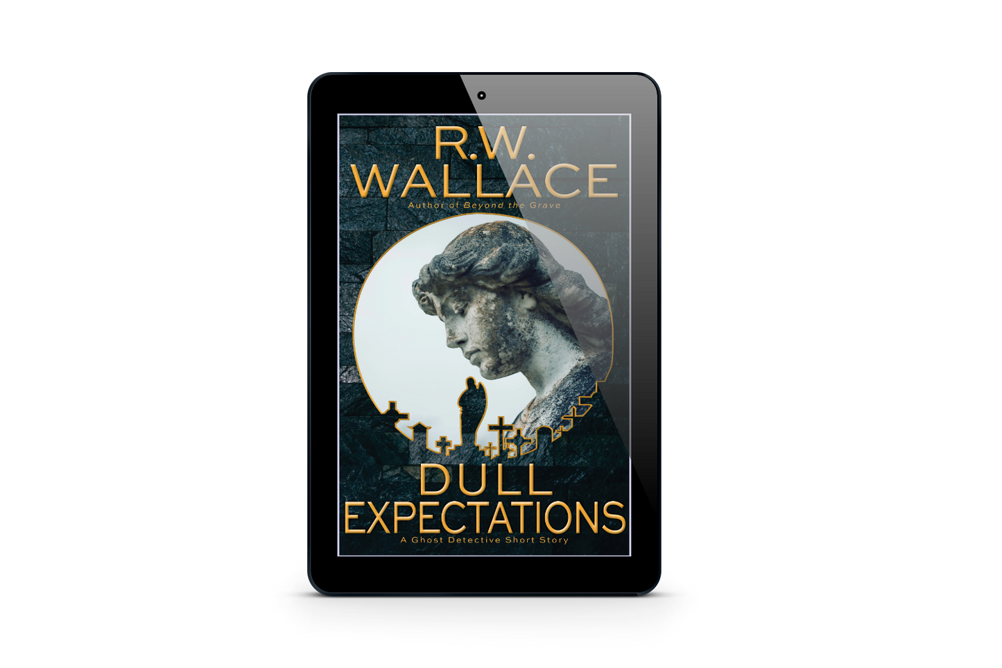 Dull Expectations - Ebook