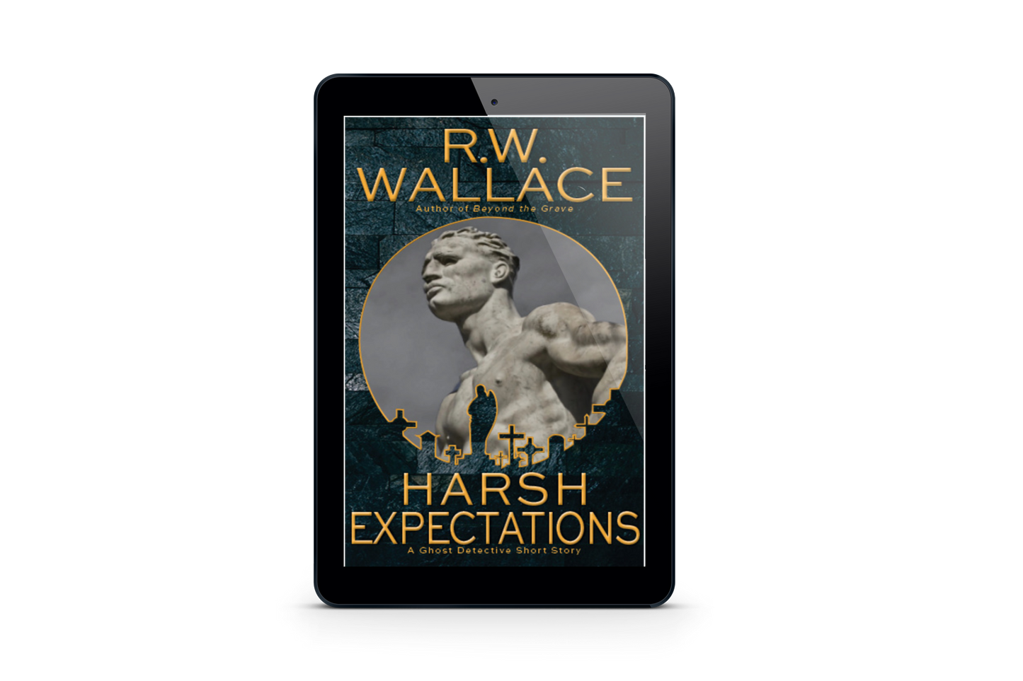 Harsh Expectations - Ebook