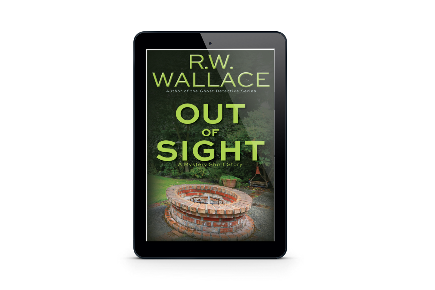 Out of Sight - Ebook